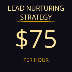 Lead Nurturing Strategy